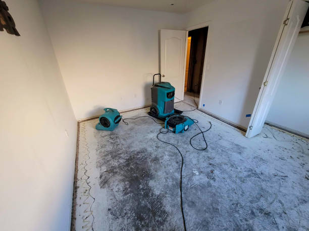 Best Ceiling water damage repair  in Wanakah, NY