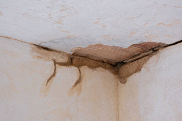 Best Flood damage cleanup  in Wanakah, NY