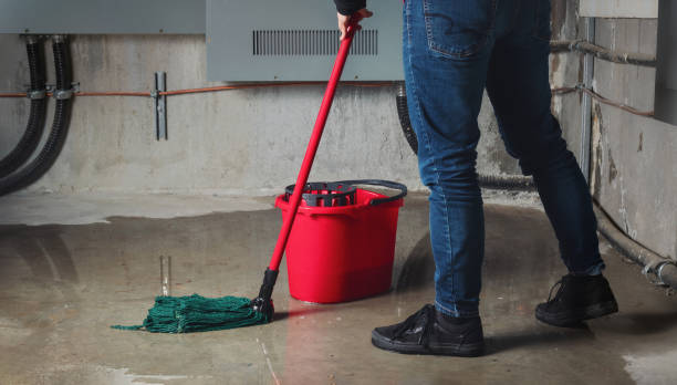 Best Water damage contractors near me  in Wanakah, NY