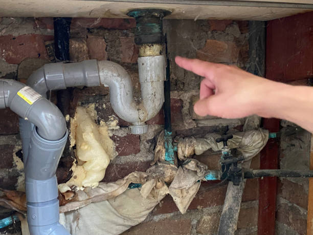 Best Water damage repair service  in Wanakah, NY